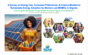 A Survey on Energy Use, Consumer Preferences, & Finance Models for Renewable Energy Adoption by Women Led-MSMEs in Nigeria: